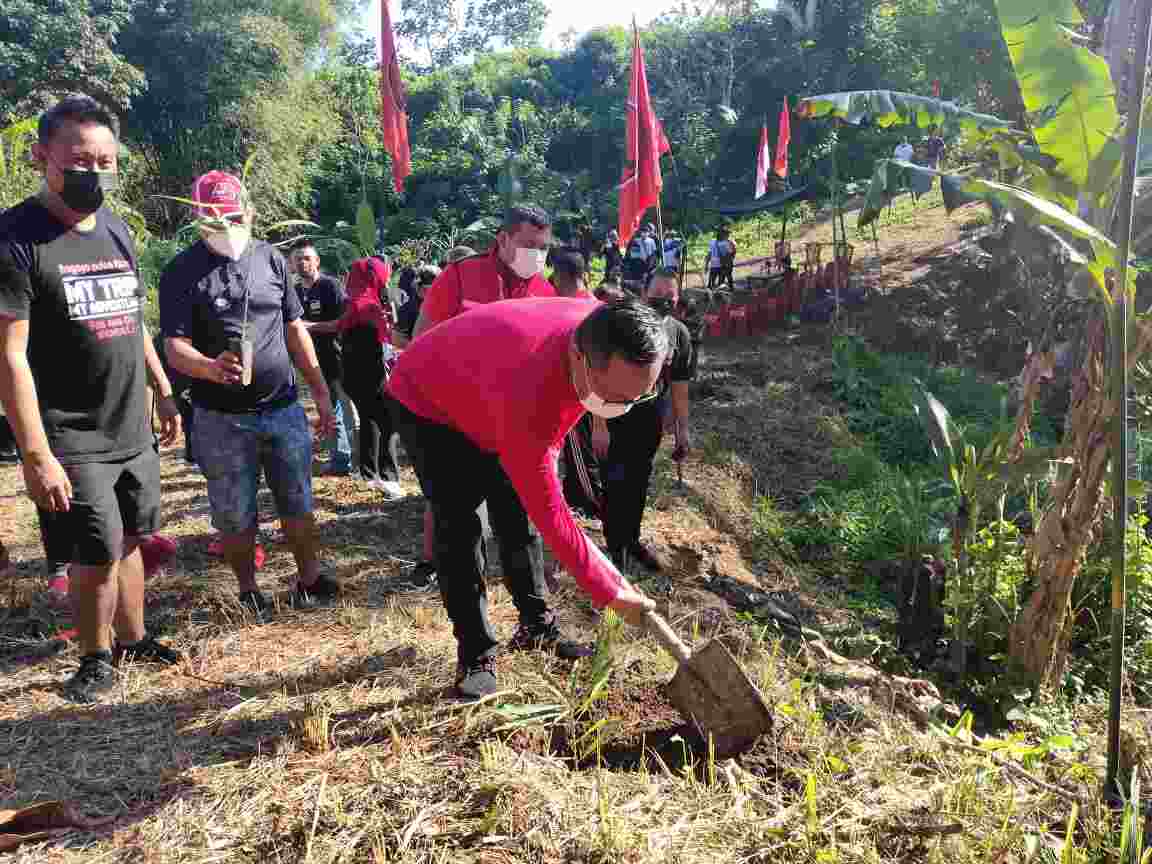 Peringati Bulan Bung Karno, DPC PDI-P Kota Manado Lakukan Penanaman Pohon