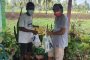 Wali Kota Andrei Angouw Tinjau Perbaikan Drainase di Kota Manado