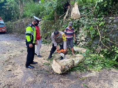 Kerjasama Anggota Polres Minahasa, BPBD dan Masyarakat Singkirkan Pohon Tumbang di Kelurahan Wulauan