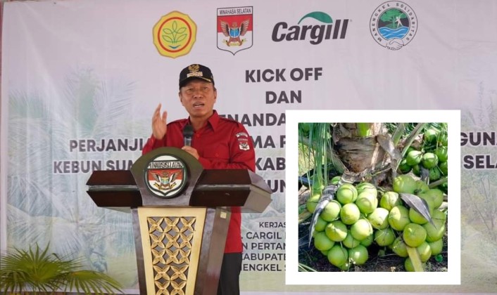 Hasil Lobi FDW, Minsel Bakal Jadi Sumber Benih Kelapa Bido