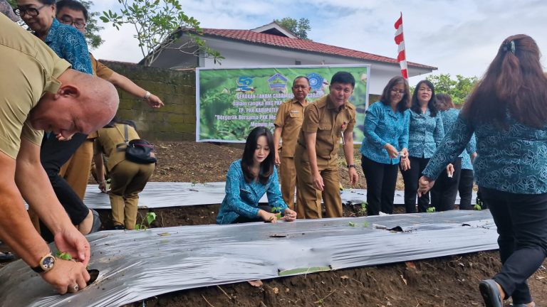 Selain Laksanakan GERTAM, Ketua TP PKK Minut Berikan Bantuan 1000 Bibit Pohon Cabai di 10 Kecamatan