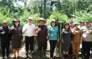 Bupati Kumendong dan Ketua TP PKK Minahasa Hadiri Kegiatan Gerakan Tanam Pangan Cepat Panen di Desa Tonsea Lama