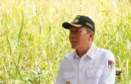 Seriusi Masalah Stunting, Besok Pemkab Minsel Bakal Gelar Rakor