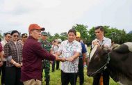 Sambut Idhul Adha, Bupati Kumendong Serahkan 36 Sapi Kurban Kepada Umat Muslim di Minahasa