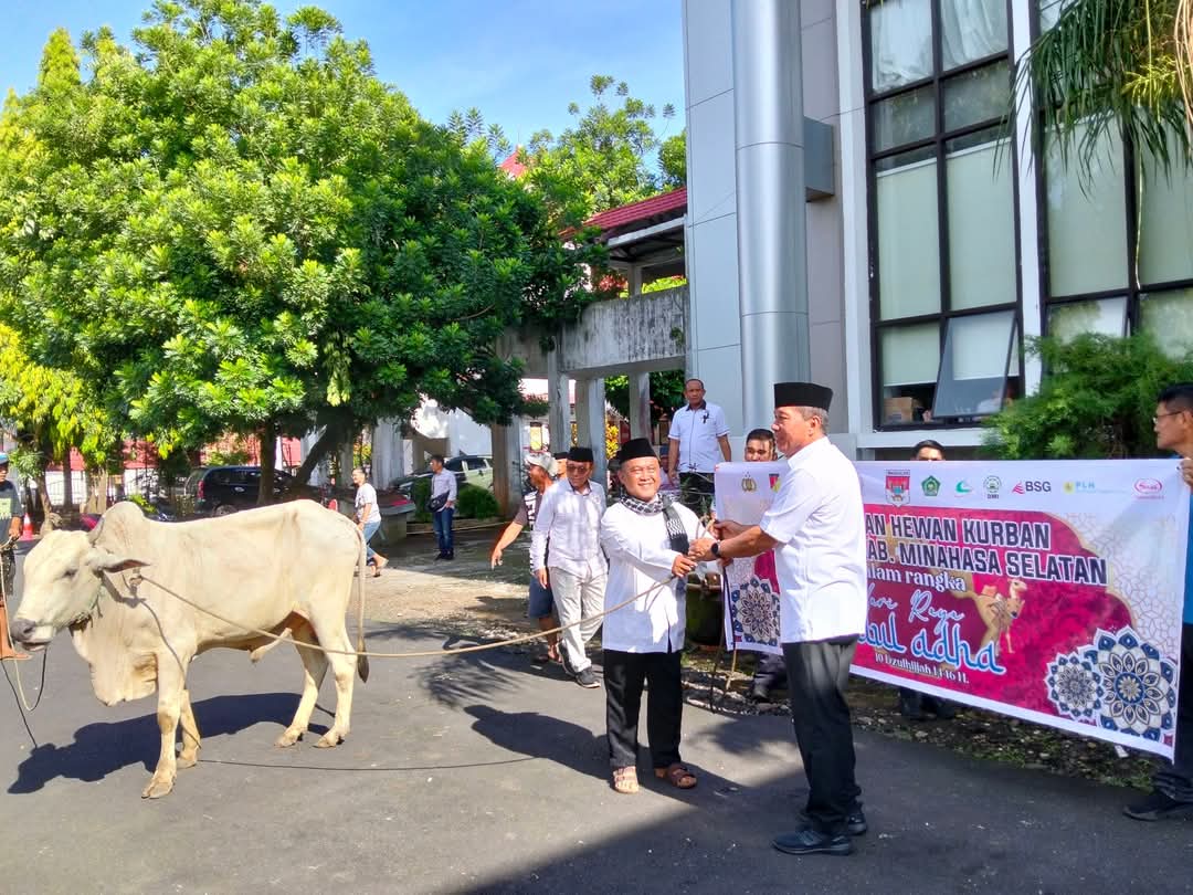 Bupati dan Wabup Minsel serahkan 15 Sapi Kurban dan Sembako di Momen Idul Adha 1446 H
