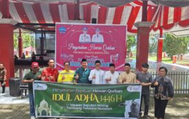 PT MSM/TTN Distribusikan 18 Ekor Sapi Jelang Idul Adha 1446 Hijriah‎‎