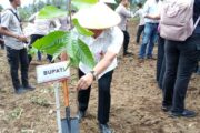Pemkab Minut Komitmen Dukung Program Pemerintah Pusat, Tingkatkan Produksi Pangan