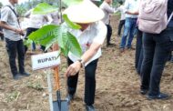 Pemkab Minut Komitmen Dukung Program Pemerintah Pusat, Tingkatkan Produksi Pangan