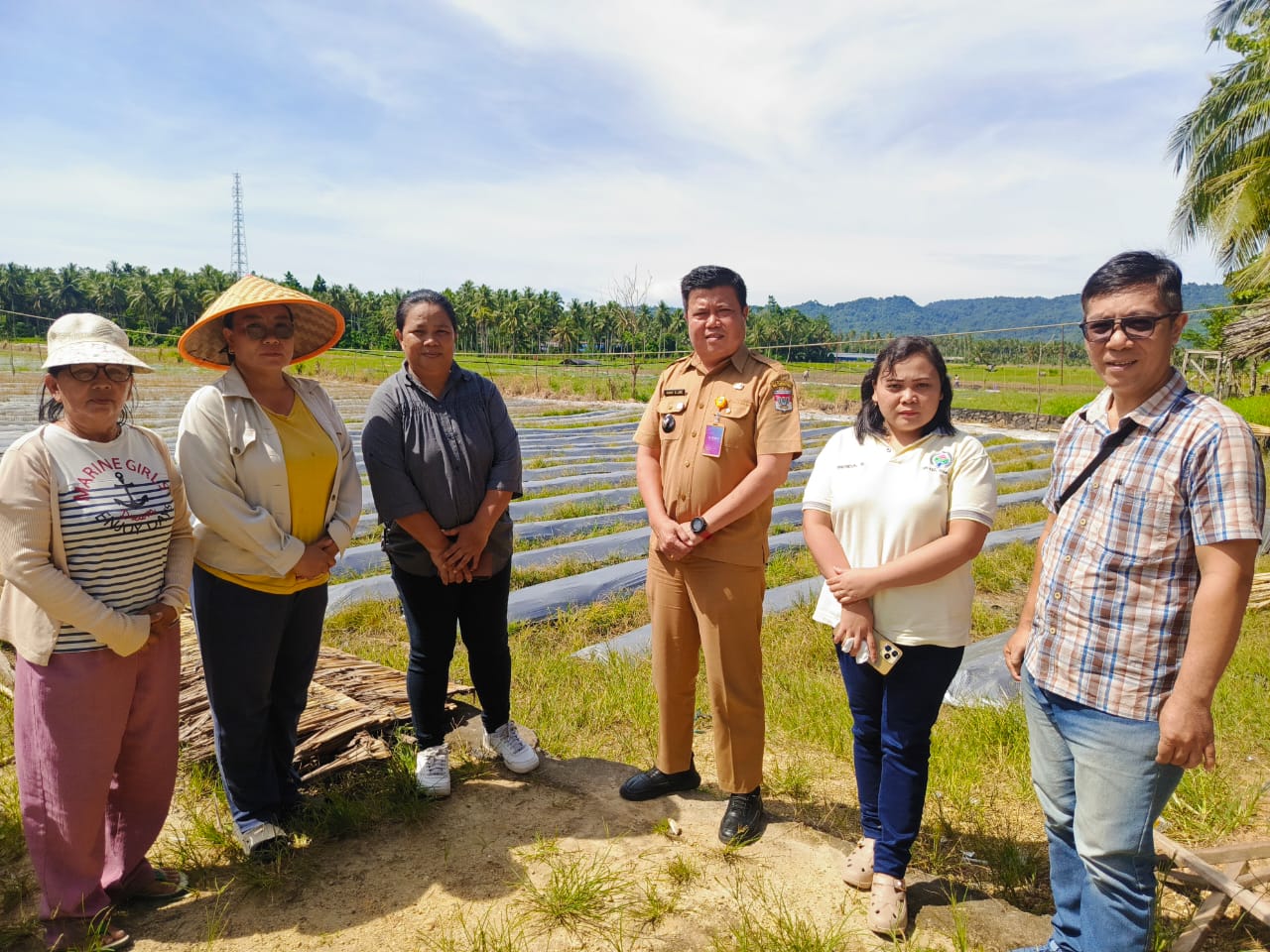 Dukung Ketapang, BUMDes Matani Siapkan 10.000 Bibit Cabai dan Pemeliharaan 30 Ekor Babi