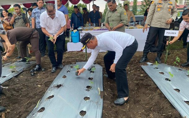 Perkuat Ketahanan Pangan dan Tekan Inflasi, Bupati Minsel Canangkan Gerakan ASN Menanam Cabai