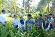 Mentan Apresiasi Kepemimpinan Gubernur Yulius Selvanus, Tambahan Bibit Jagung Disetujui