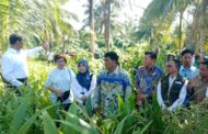 Mentan Apresiasi Kepemimpinan Gubernur Yulius Selvanus, Tambahan Bibit Jagung Disetujui