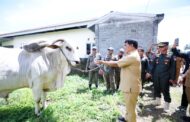 Gubernur Yulius Serahkan Sapi Kurban Bantuan Presiden Prabowo untuk Masyarakat Bolaang Mongondow