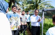 Kementan Tingkatkan Bantuan Pertanian untuk Sulut, Alokasi Jagung Naik Jadi 50.000 Hektar