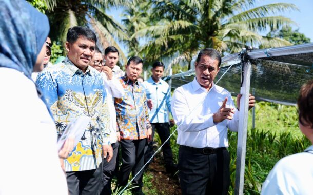 Kementan Tingkatkan Bantuan Pertanian untuk Sulut, Alokasi Jagung Naik Jadi 50.000 Hektar